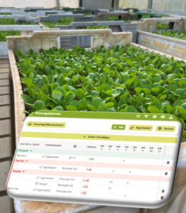 Jungpflanzen und Bildschirm mit Jungpflanzenmanagement-App von Tom & Chili