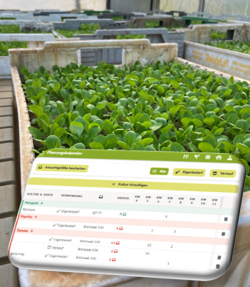 Wie macht ihr das mit der Jungpflanzenanzucht?