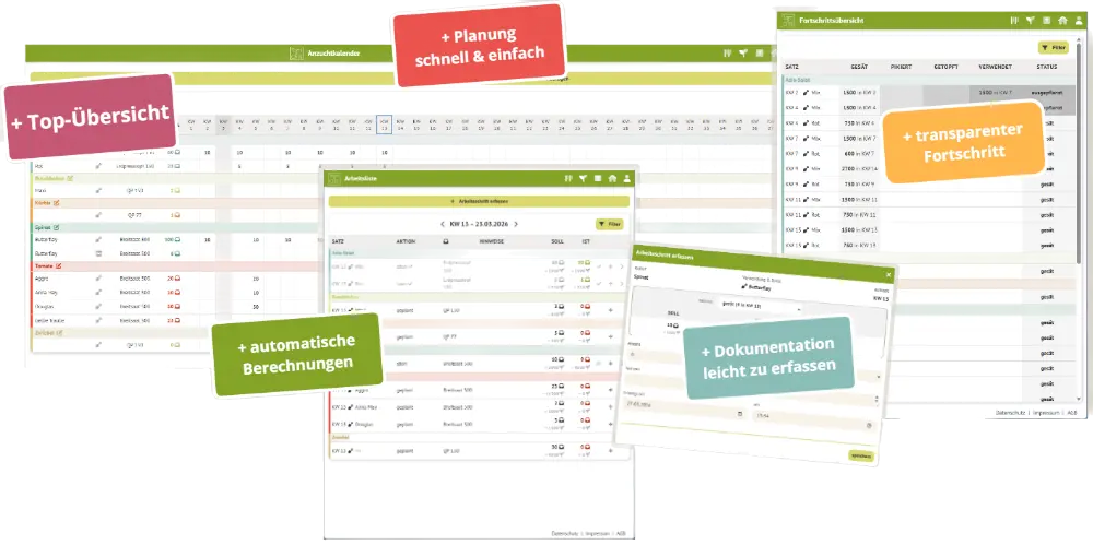 Screenshot Tom und Chili Jungpflanzenmanagement Software
