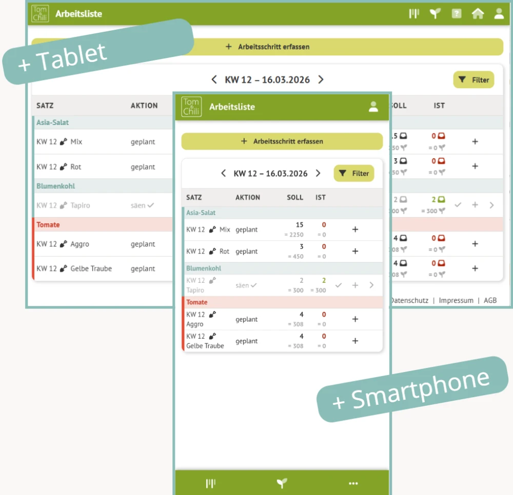 Screenshot tom und chili Jungpflanzenanzucht